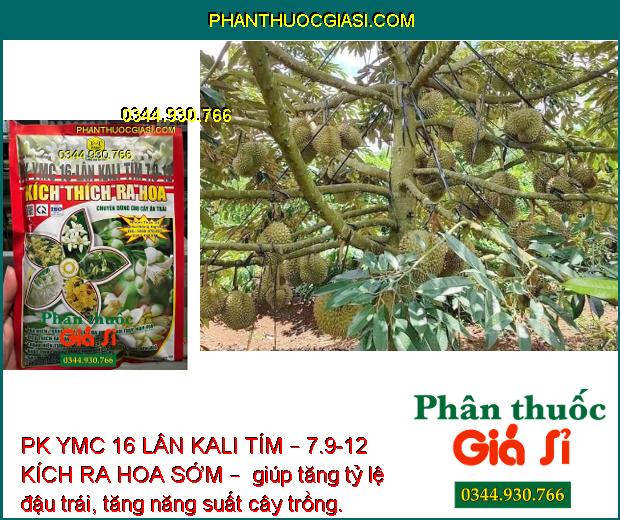 PK YMC 16 LÂN KALI TÍM – 7.9-12 KÍCH RA HOA SỚM – ĐÁNH THỨC MẦM HOA