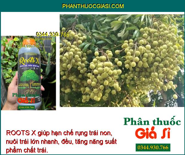 ROOTS X giúp cung cấp đầy đủ dinh dưỡng cho bộ rễ phát triển khỏe mạnh.