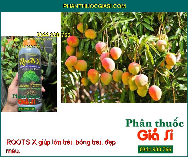 ROOTS X giúp cung cấp đầy đủ dinh dưỡng cho bộ rễ phát triển khỏe mạnh.