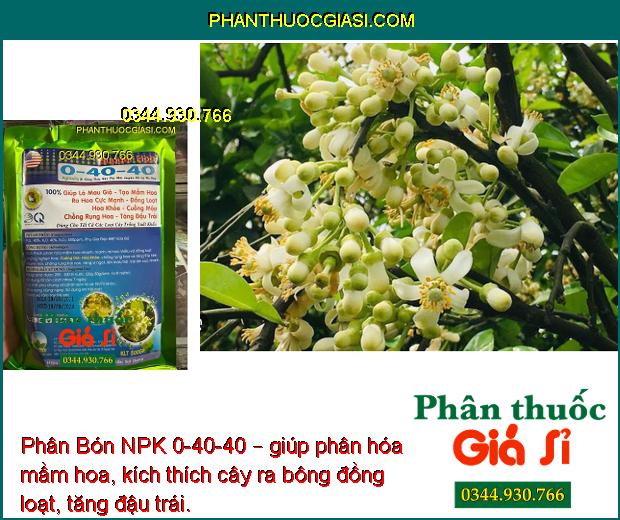 Phân Bón NPK 0-40-40 – Ra Hoa Đồng Loạt - Chống Rụng Hoa - Tăng Đậu Trái