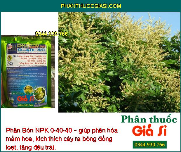 Phân Bón NPK 0-40-40 – Ra Hoa Đồng Loạt - Chống Rụng Hoa - Tăng Đậu Trái