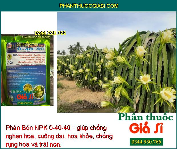 Phân Bón NPK 0-40-40 – Ra Hoa Đồng Loạt - Chống Rụng Hoa - Tăng Đậu Trái