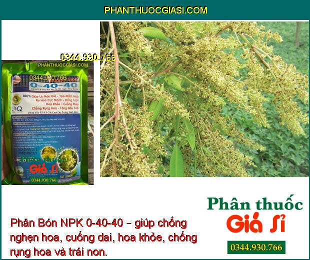 Phân Bón NPK 0-40-40 – Ra Hoa Đồng Loạt - Chống Rụng Hoa - Tăng Đậu Trái