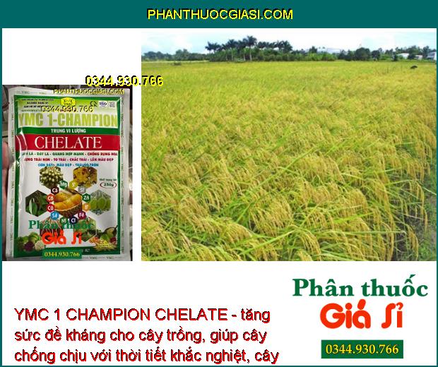 YMC 1 CHAMPION CHELATE - Quang Hợp Mạnh - Chống Rụng Hoa - Trái Non - To Trái - Màu Đẹp