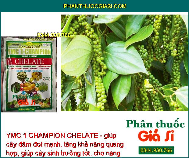 YMC 1 CHAMPION CHELATE - Quang Hợp Mạnh - Chống Rụng Hoa - Trái Non - To Trái - Màu Đẹp