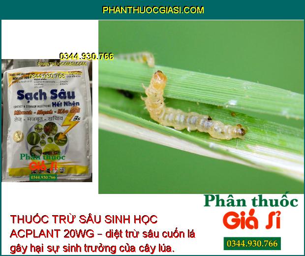 THUỐC TRỪ SÂU SINH HỌC ACPLANT 20WG – ĐẶC TRỊ SÂU NHỆN HẠI CÂY TRỒNG