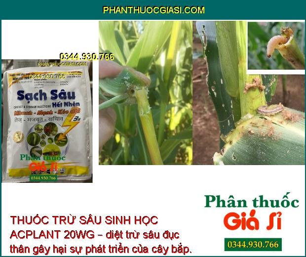 THUỐC TRỪ SÂU SINH HỌC ACPLANT 20WG – ĐẶC TRỊ SÂU NHỆN HẠI CÂY TRỒNG