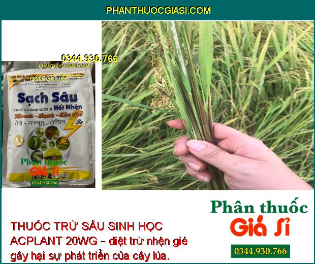 THUỐC TRỪ SÂU SINH HỌC ACPLANT 20WG – ĐẶC TRỊ SÂU NHỆN HẠI CÂY TRỒNG