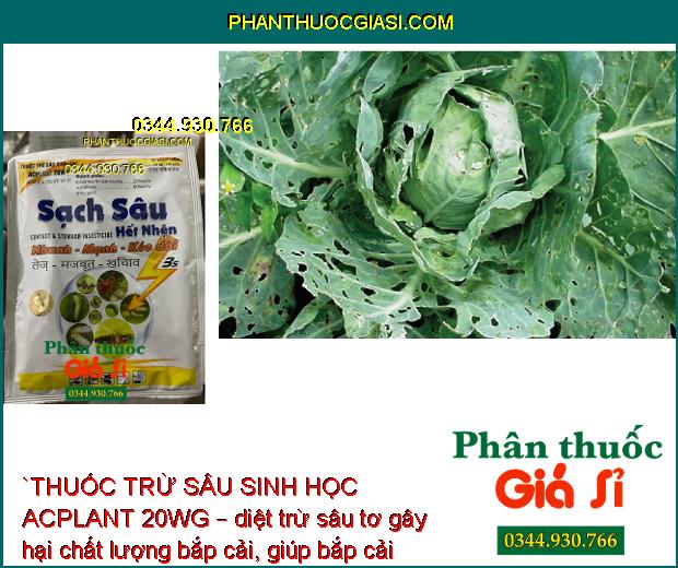 THUỐC TRỪ SÂU SINH HỌC ACPLANT 20WG – ĐẶC TRỊ SÂU NHỆN HẠI CÂY TRỒNG