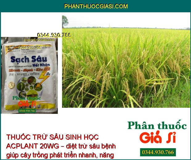 THUỐC TRỪ SÂU SINH HỌC ACPLANT 20WG – ĐẶC TRỊ SÂU NHỆN HẠI CÂY TRỒNG