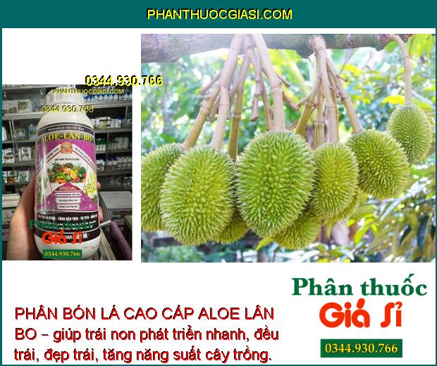 PHÂN BÓN LÁ CAO CẤP ALOE LÂN BO – KÍCH TRỔ BÔNG - TĂNG ĐẬU TRÁI