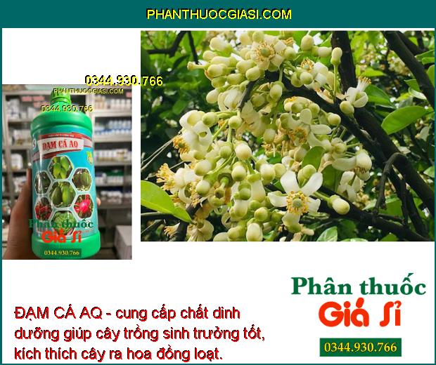 ĐẠM CÁ AQ - Lá Xanh Mướt - Bung Hoa Đồng Loạt - Kháng Nấm - Vi Khuẩn