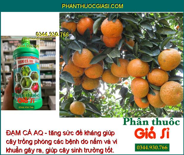 ĐẠM CÁ AQ - Lá Xanh Mướt - Bung Hoa Đồng Loạt - Kháng Nấm - Vi Khuẩn