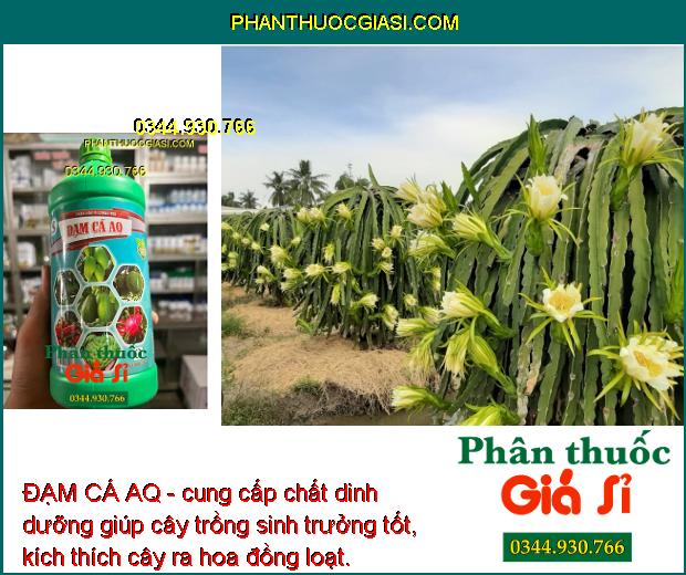 ĐẠM CÁ AQ - Lá Xanh Mướt - Bung Hoa Đồng Loạt - Kháng Nấm - Vi Khuẩn