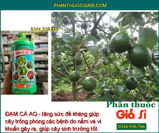 ĐẠM CÁ AQ - Lá Xanh Mướt - Bung Hoa Đồng Loạt - Kháng Nấm - Vi Khuẩn