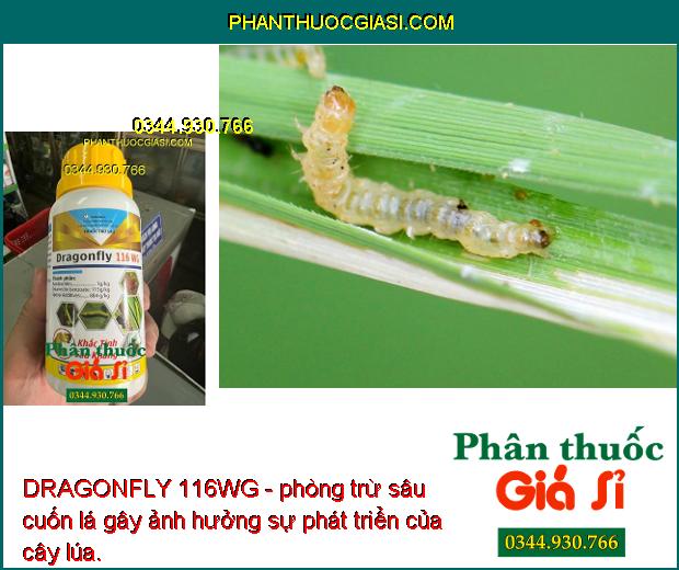 DRAGONFLY 116WG - Đặc Trị Các Loại Sâu Kháng Gây Hại