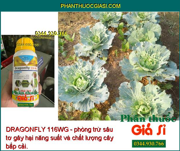 DRAGONFLY 116WG - Đặc Trị Các Loại Sâu Kháng Gây Hại