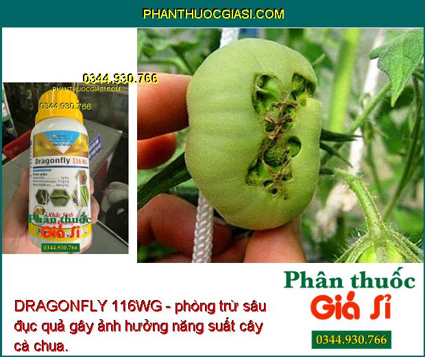 DRAGONFLY 116WG - Đặc Trị Các Loại Sâu Kháng Gây Hại