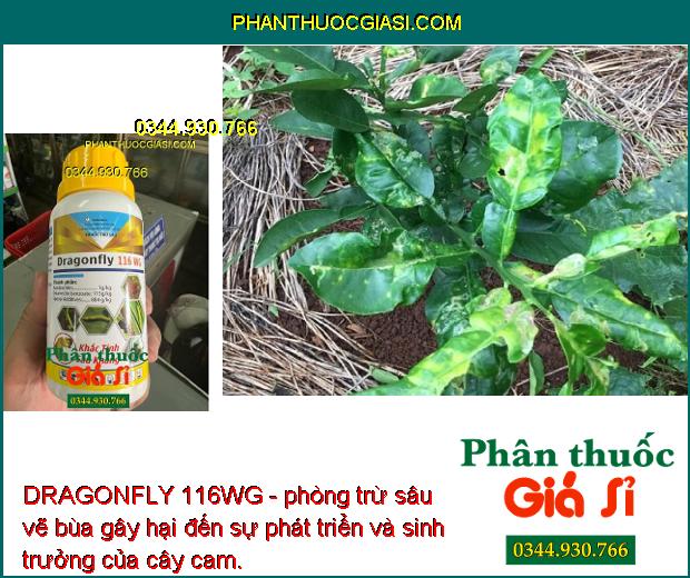 DRAGONFLY 116WG - Đặc Trị Các Loại Sâu Kháng Gây Hại