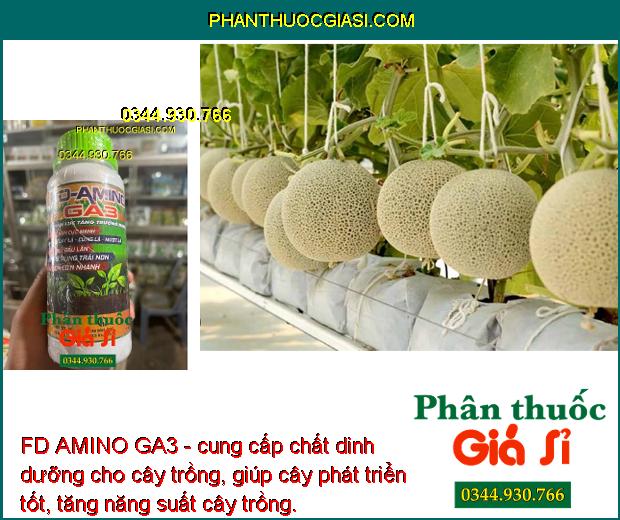 FD AMINO GA3- Ra Rễ Nhiều - Bung Đọt Cực Mạnh - Tăng Đề Kháng - Hạn Chế Rụng Trái