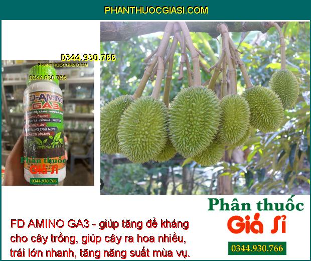 FD AMINO GA3- Ra Rễ Nhiều - Bung Đọt Cực Mạnh - Tăng Đề Kháng - Hạn Chế Rụng Trái