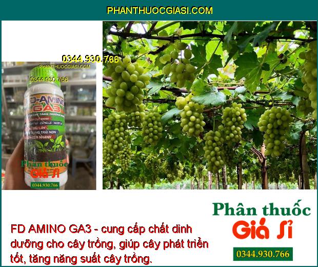 FD AMINO GA3- Ra Rễ Nhiều - Bung Đọt Cực Mạnh - Tăng Đề Kháng - Hạn Chế Rụng Trái