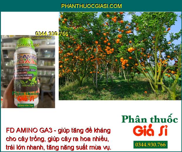 FD AMINO GA3- Ra Rễ Nhiều - Bung Đọt Cực Mạnh - Tăng Đề Kháng - Hạn Chế Rụng Trái