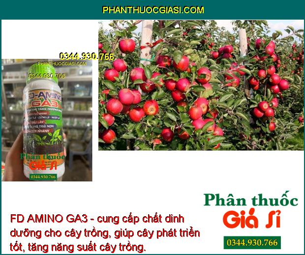 FD AMINO GA3- Ra Rễ Nhiều - Bung Đọt Cực Mạnh - Tăng Đề Kháng - Hạn Chế Rụng Trái