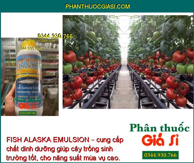 FISH ALASKA EMULSION – Bổ Sung Dinh Dưỡng - Phát Triển Bộ Rễ - Tăng Chất Lượng Hoa