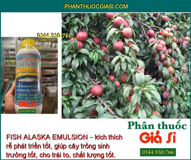 FISH ALASKA EMULSION – Bổ Sung Dinh Dưỡng - Phát Triển Bộ Rễ - Tăng Chất Lượng Hoa