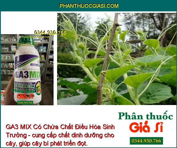 GA3 MIX Có Chứa Chất Điều Hòa Sinh Trưởng - Ra Rễ Cực Mạnh - Dày Lá - To Trái