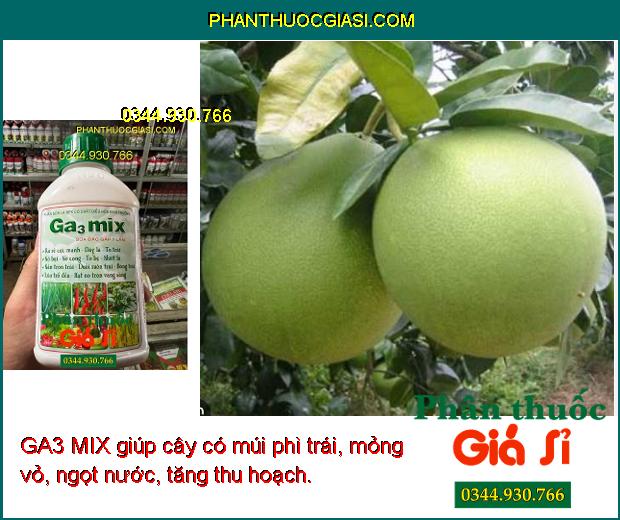 GA3 MIX- Ra Rễ Cực Mạnh- Dày Lá- To Bẹ- Bóng Trái- Lúa Trổ Đều- Vọt Đọt.