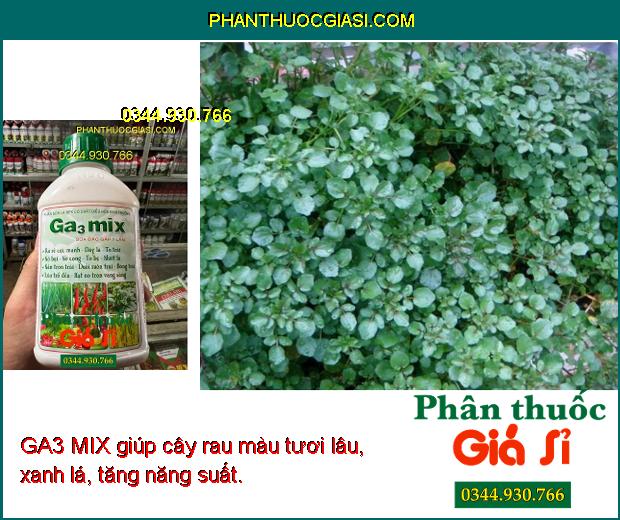 GA3 MIX- Ra Rễ Cực Mạnh- Dày Lá- To Bẹ- Bóng Trái- Lúa Trổ Đều- Vọt Đọt.