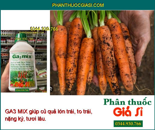 GA3 MIX- Ra Rễ Cực Mạnh- Dày Lá- To Bẹ- Bóng Trái- Lúa Trổ Đều- Vọt Đọt.