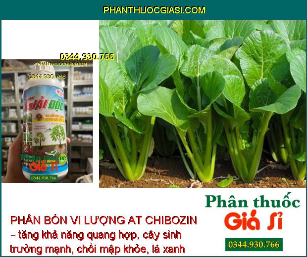 PHÂN BÓN VI LƯỢNG AT CHIBOZIN – GIẢI ĐỘC - RA RỄ CỰC MẠNH - TĂNG ĐỀ KHÁNG CHO CÂY TRỒNG