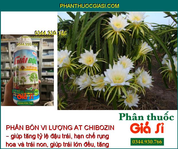 PHÂN BÓN VI LƯỢNG AT CHIBOZIN – GIẢI ĐỘC - RA RỄ CỰC MẠNH - TĂNG ĐỀ KHÁNG CHO CÂY TRỒNG