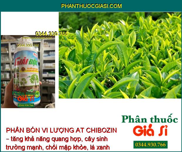 PHÂN BÓN VI LƯỢNG AT CHIBOZIN – GIẢI ĐỘC - RA RỄ CỰC MẠNH - TĂNG ĐỀ KHÁNG CHO CÂY TRỒNG