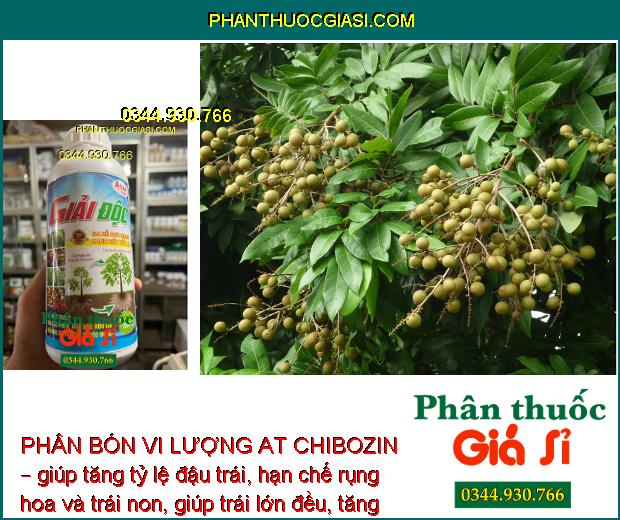 PHÂN BÓN VI LƯỢNG AT CHIBOZIN – GIẢI ĐỘC - RA RỄ CỰC MẠNH - TĂNG ĐỀ KHÁNG CHO CÂY TRỒNG