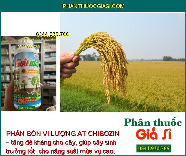 PHÂN BÓN VI LƯỢNG AT CHIBOZIN – GIẢI ĐỘC - RA RỄ CỰC MẠNH - TĂNG ĐỀ KHÁNG CHO CÂY TRỒNG