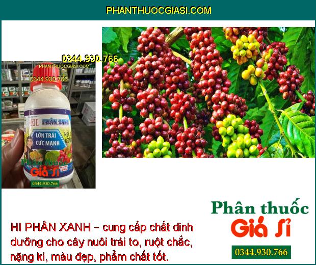 HI PHÂN XANH – LỚN TRÁI CỰC MẠNH - HẠT CHẮC - KÍCH THÍCH SINH TRƯỞNG