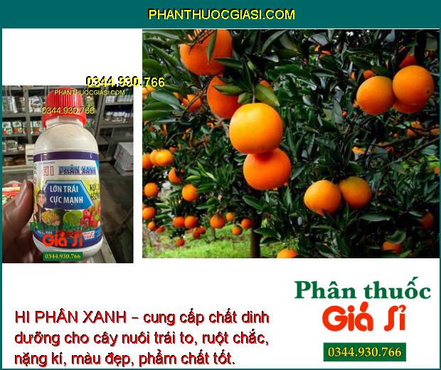 HI PHÂN XANH – LỚN TRÁI CỰC MẠNH - HẠT CHẮC - KÍCH THÍCH SINH TRƯỞNG