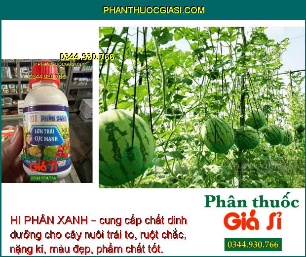 HI PHÂN XANH – LỚN TRÁI CỰC MẠNH - HẠT CHẮC - KÍCH THÍCH SINH TRƯỞNG