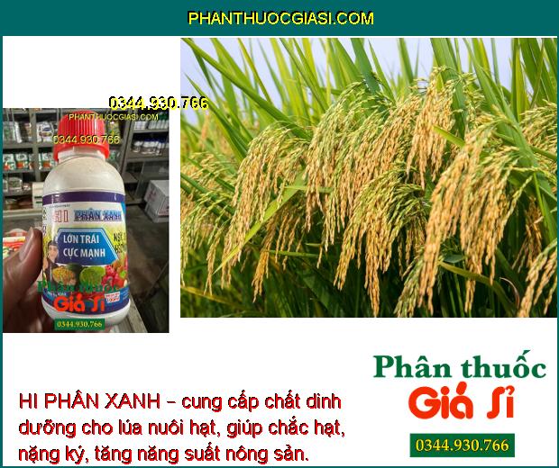 HI PHÂN XANH – LỚN TRÁI CỰC MẠNH - HẠT CHẮC - KÍCH THÍCH SINH TRƯỞNG