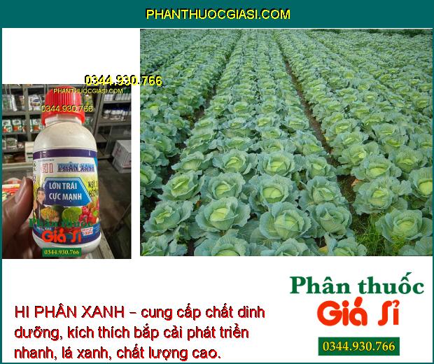 HI PHÂN XANH – LỚN TRÁI CỰC MẠNH - HẠT CHẮC - KÍCH THÍCH SINH TRƯỞNG