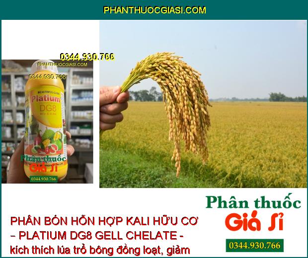 PHÂN BÓN HỖN HỢP KALI HỮU CƠ – PLATIUM DG8 GELL CHELATE DÙNG CHO CÂY TRỒNG