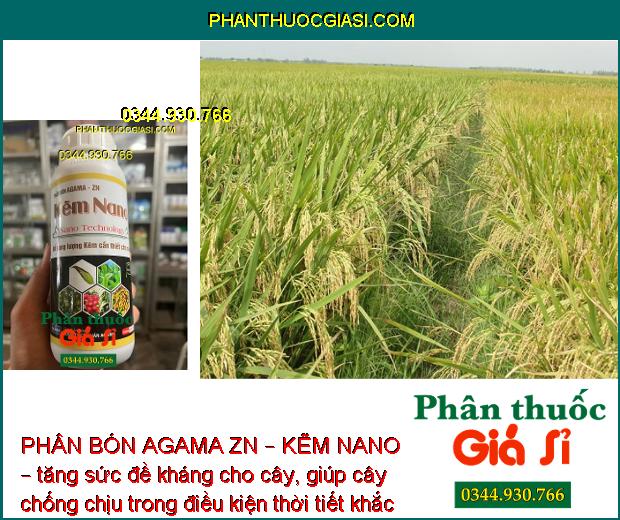 PHÂN BÓN AGAMA ZN – KẼM NANO – Hạn Chế Rụng Bông - Trái Non- Tăng Kích Cỡ Trái - Tăng Đề Kháng