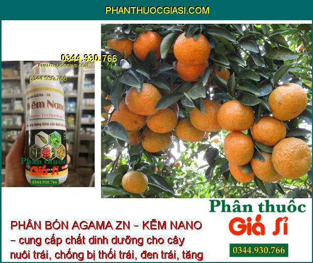 PHÂN BÓN AGAMA ZN – KẼM NANO – Hạn Chế Rụng Bông - Trái Non- Tăng Kích Cỡ Trái - Tăng Đề Kháng