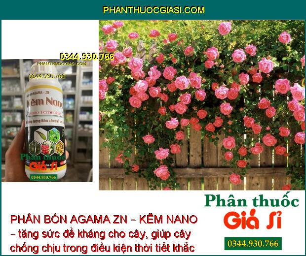 PHÂN BÓN AGAMA ZN – KẼM NANO – Hạn Chế Rụng Bông - Trái Non- Tăng Kích Cỡ Trái - Tăng Đề Kháng