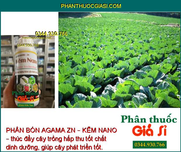 PHÂN BÓN AGAMA ZN – KẼM NANO – Hạn Chế Rụng Bông - Trái Non- Tăng Kích Cỡ Trái - Tăng Đề Kháng