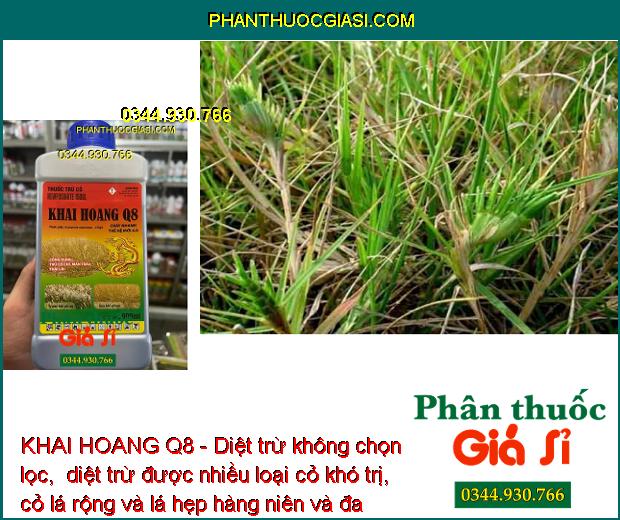 KHAI HOANG Q8 - Diệt Trừ Nhiều Loại Cỏ Khó Trị: Cỏ Chỉ - Mần Trầu - Thài Lài